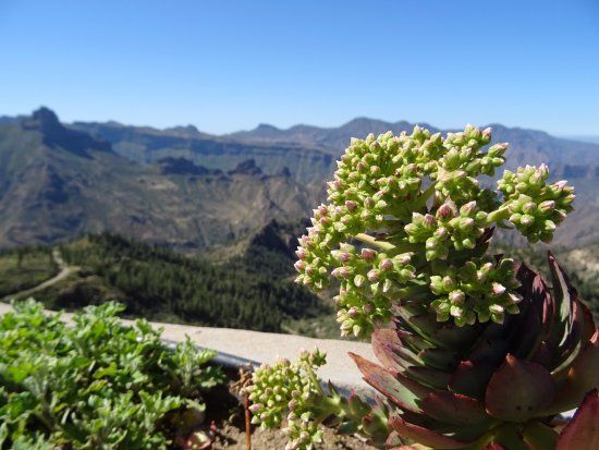 el Mirador de Unamuno