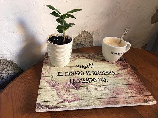 Cafe Almogaren