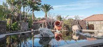 la Cactualdea