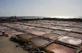 las Salinas de Tenefé