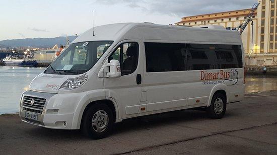 Dimarbus