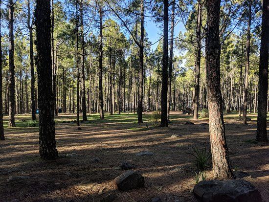 Llanos De La Pez