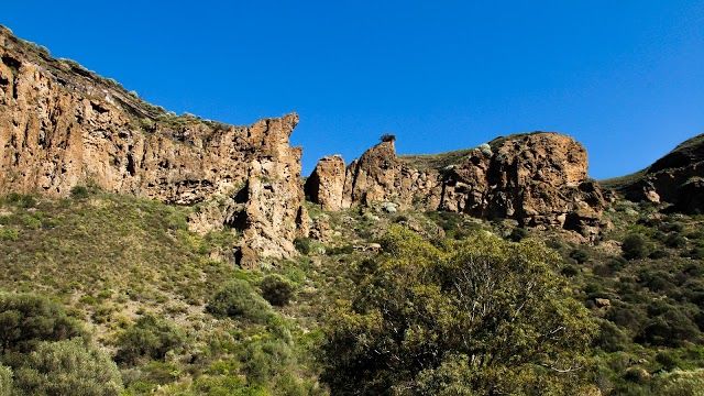 el Pico de Bandama