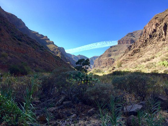 el Barranco de Guayadeque